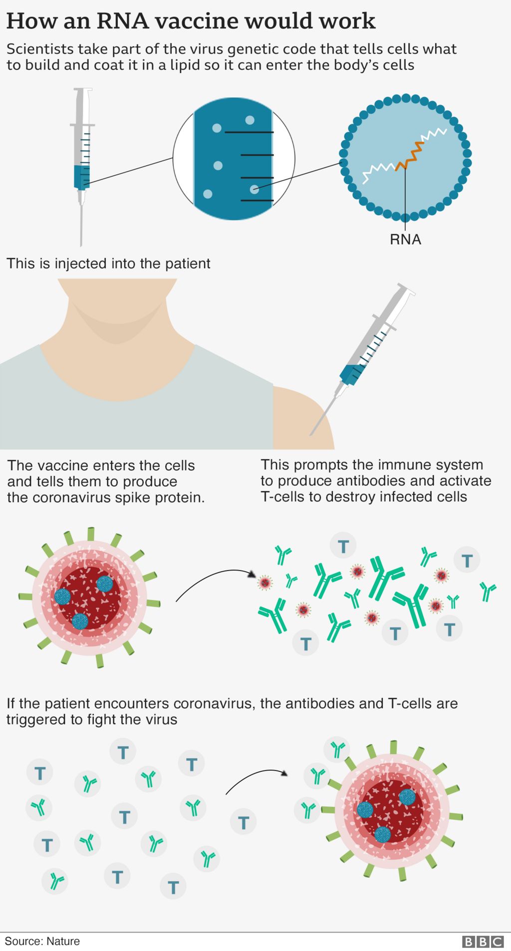 Moderna Covid Vaccine Shows Nearly 95 Protection Bbc News