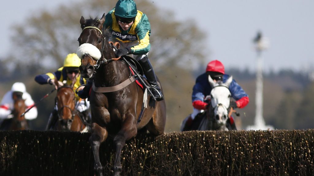 Bookmakers' software under scrutiny