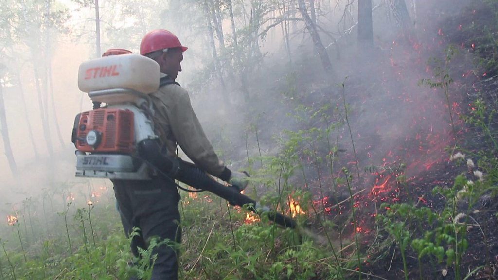 Firefighter tackles wildfire in Krasnoyarsk region, Russia. Photo: 31 July 2019
