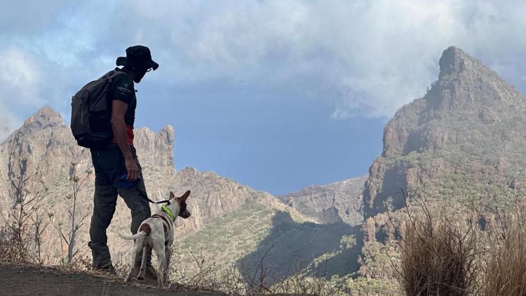 A man and his dog during the search for missing British teenager Jay Slater. Huge mountains can be seen in the background.