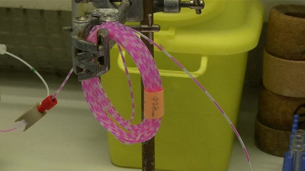 A coiled tube with enzymes inside