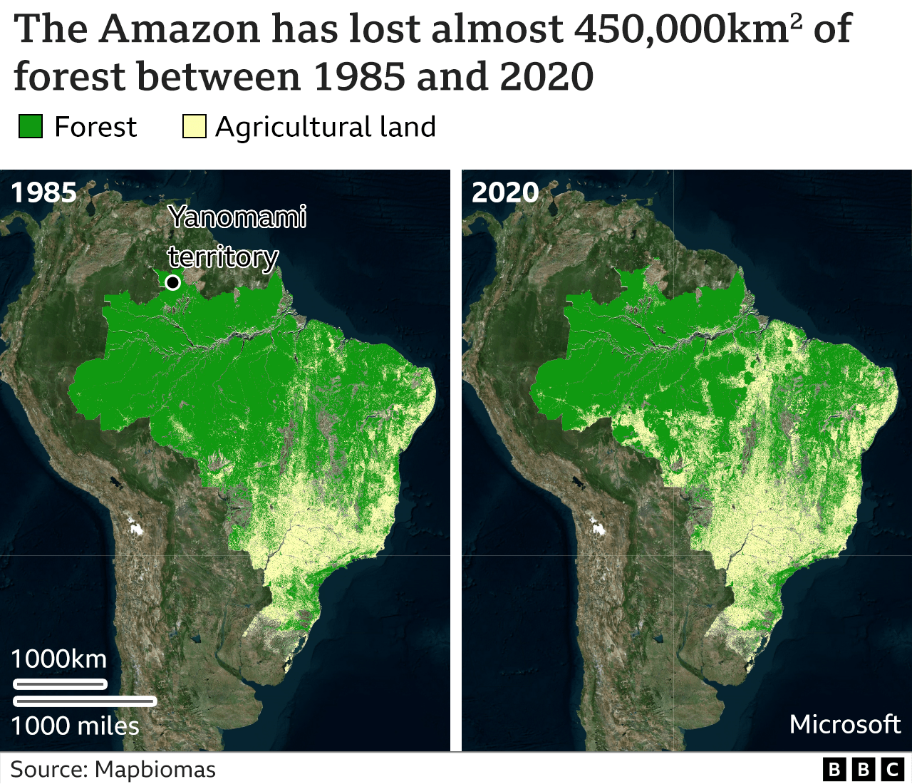 Map showing loss of Amazon rainforest land