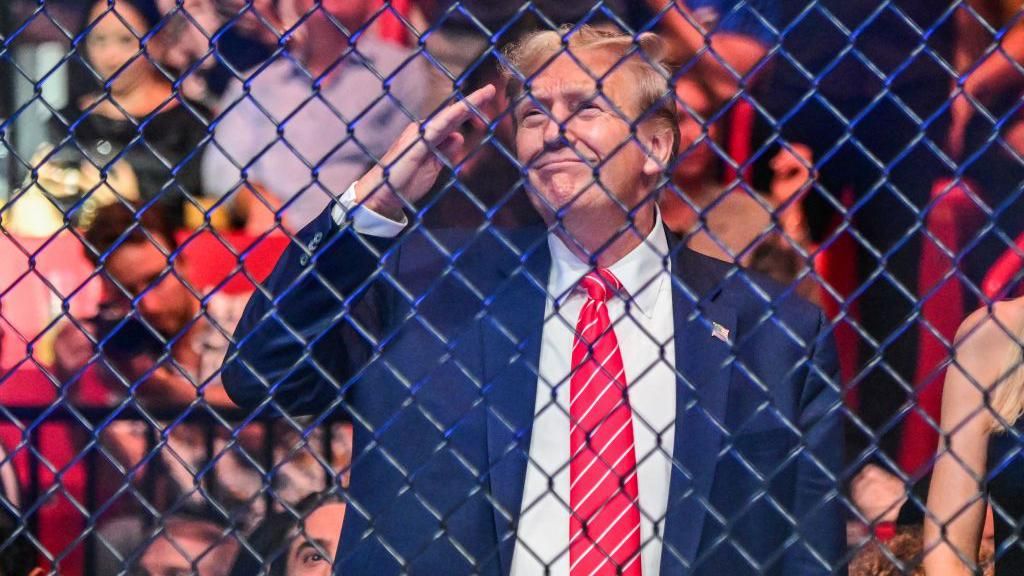 Donald Trump ringside at UFC 299