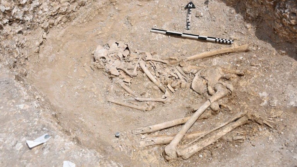 A partially excavated skeleton in a foetal position