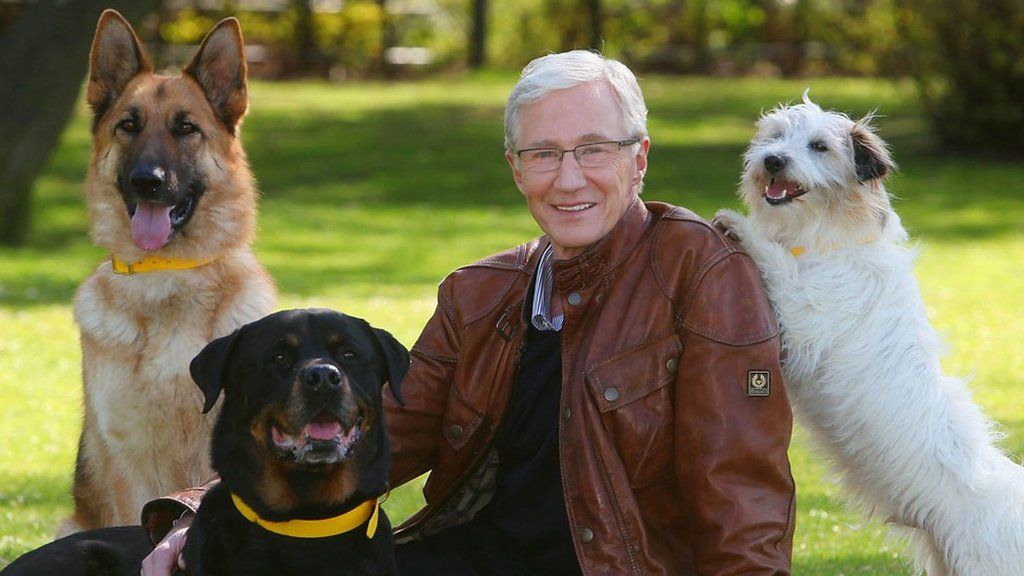 Paul O'Grady with rescue dogs at London's Battersea Park.