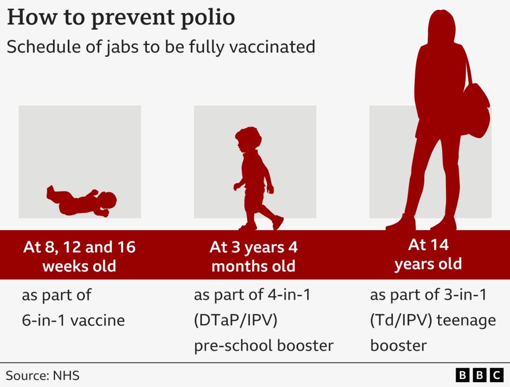 A timeline of when babies and children get polio vaccines in the UK