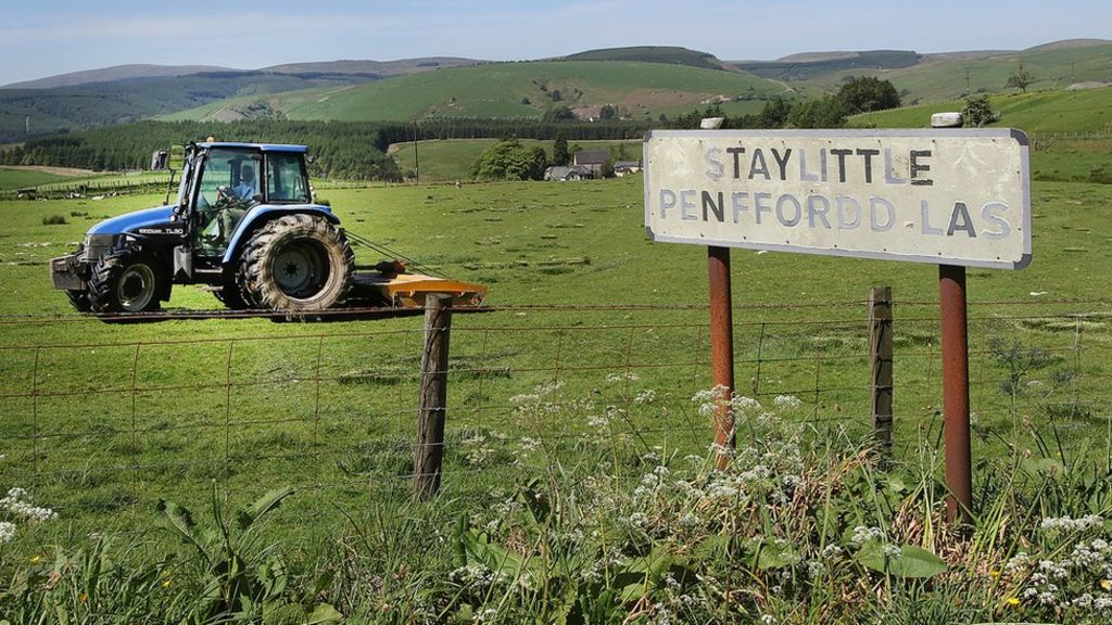 Staylittle: Village cut off from web finally gets online