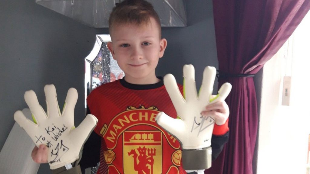 goalkeeper gloves david de gea