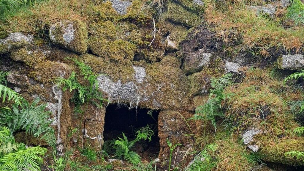 A furze oven at Tresibbet Deserted Medieval Hamlet with moss-covered stones and bracken. A entrance hole can be seen among the stones