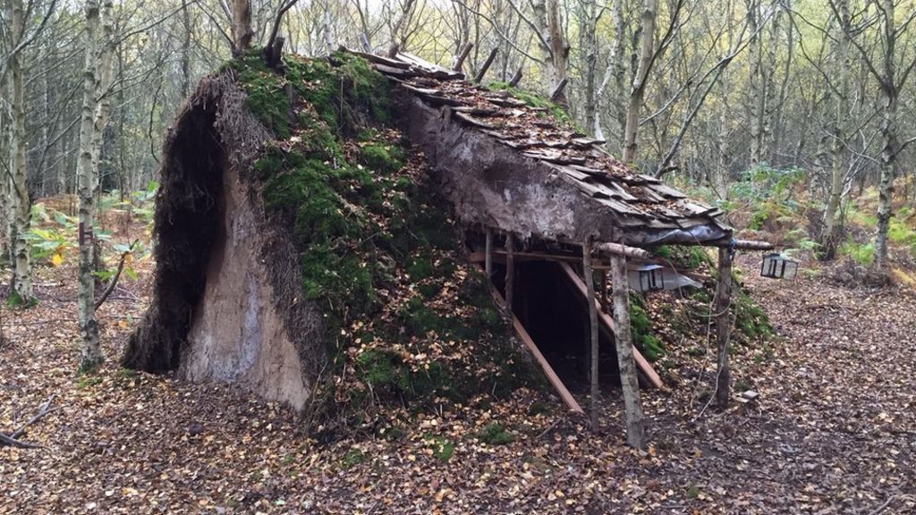 Tiptree homeless man's woodland shelter saved from chop - BBC News