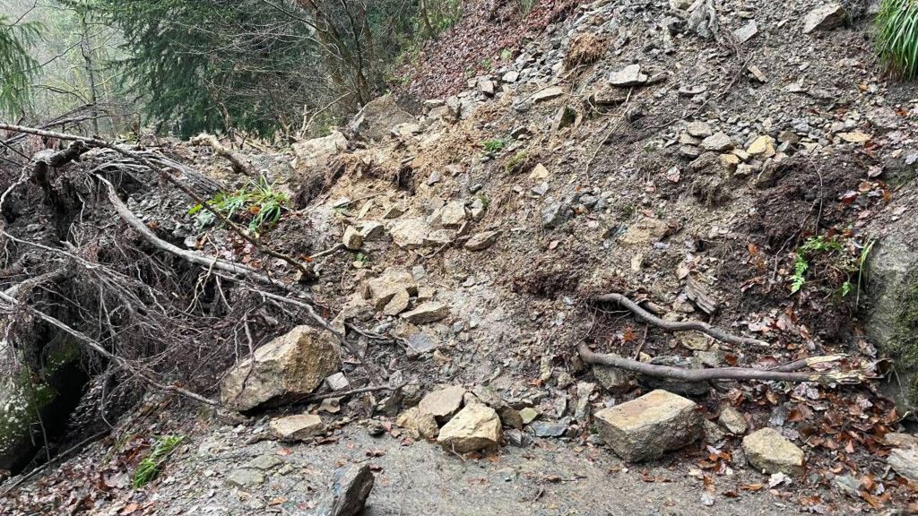 Allen Banks and Staward Gorge debris 