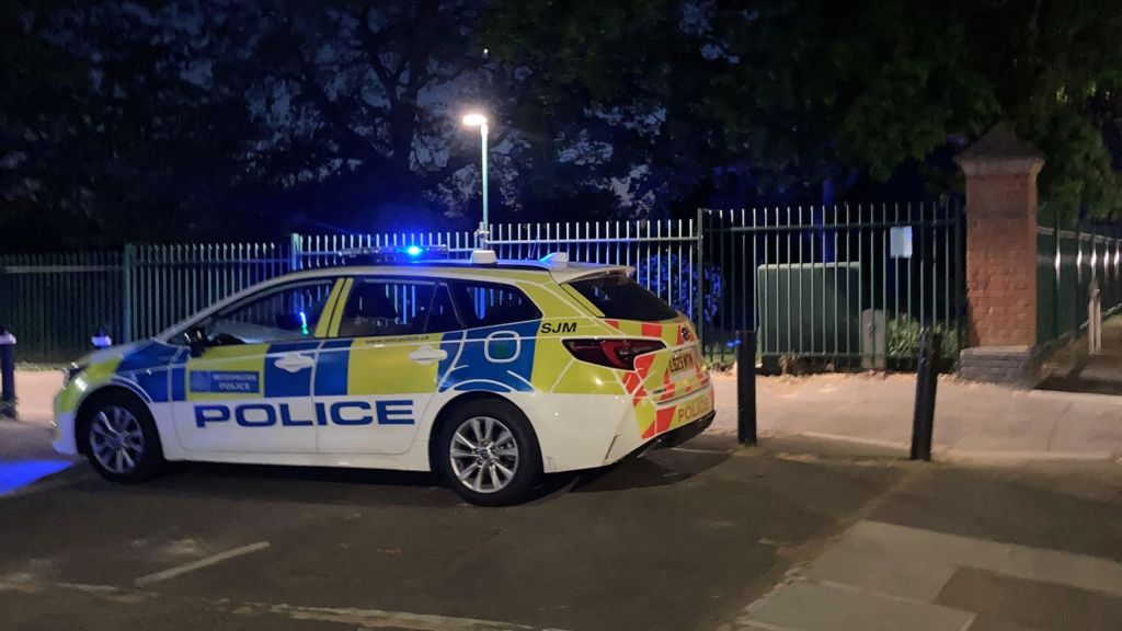 A police car parked near the corner of Elthorne Park in Ealing, west London, where A mother and her young son have died after getting into difficulty in the water 