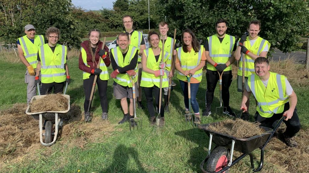 Worcester 'edible hedge' shining a light on biodiversity need - BBC News