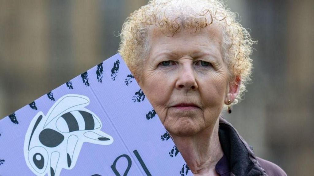 Angela Madden, who chairs Women Against State Pension Inequality (Waspi), with a sign showing a bee.