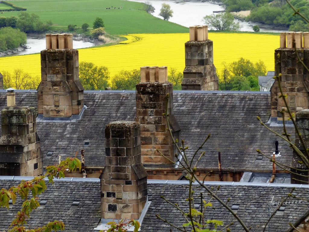 Rooftops in Stirling