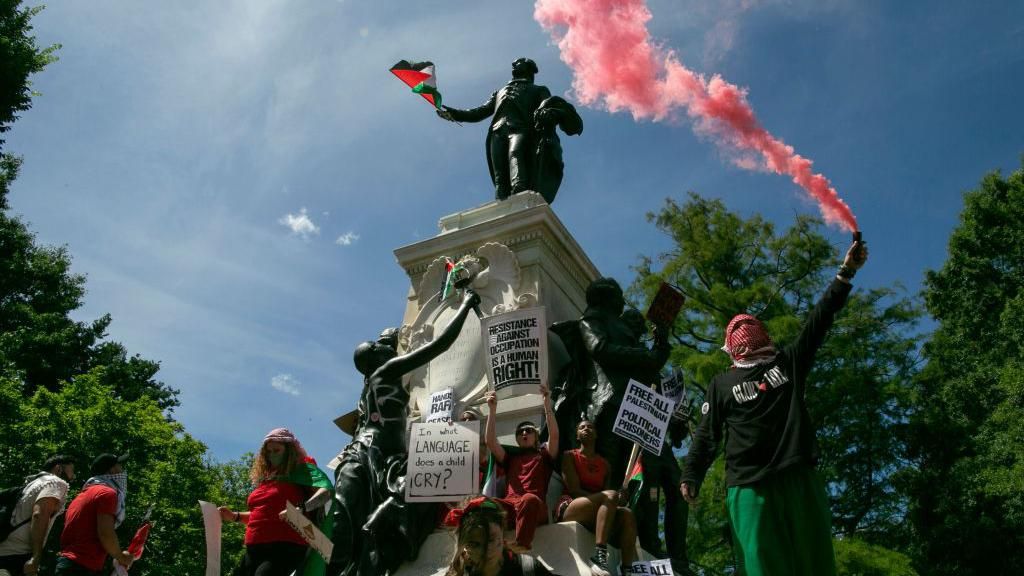 Pro-Palestinian protesters in Washington, DC 