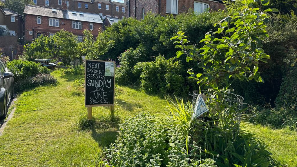 A community garden in Hollingdean, Brighton, on a sunny day