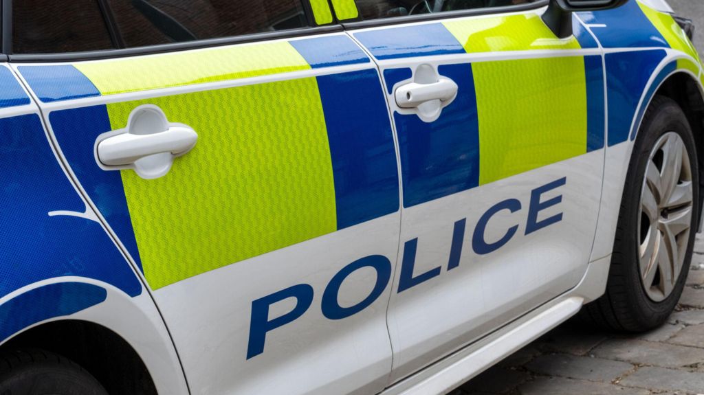 Close-up of the side of a marked Metropolitan Police car, showing blue and fluorescent yellow markings and the word “police” on the door.