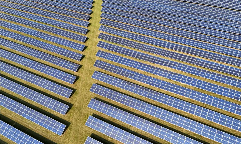 Labour accused of ‘riding roughshod’ on Norfolk solar farms – BBC.com