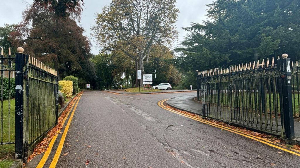 Gates at the entrance to Cannon Hill Park. They are open and either side of a road into the park with double yellow lines either side. Trees can be seen in the distance with a parked car.