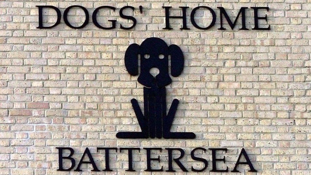 signage of Battersea dogs home