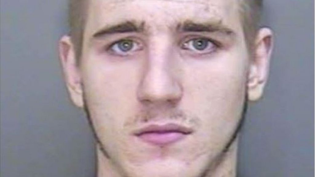 Teen who attacked pregnant woman with a machete is jailed