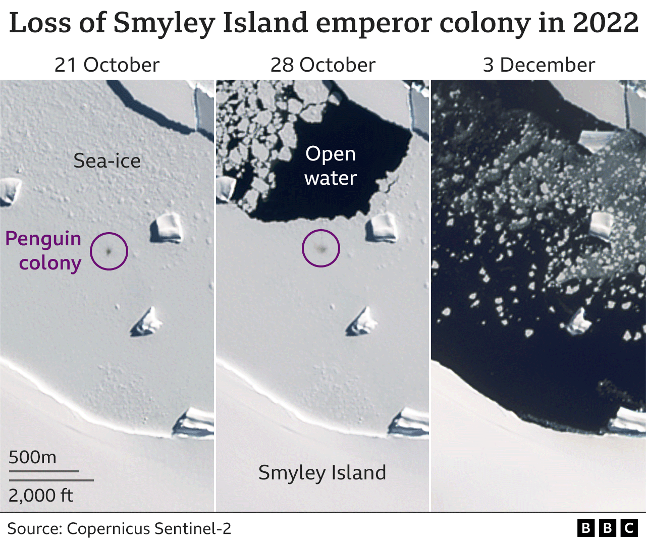 Остров Смайли теряет лед на спутниковых снимках