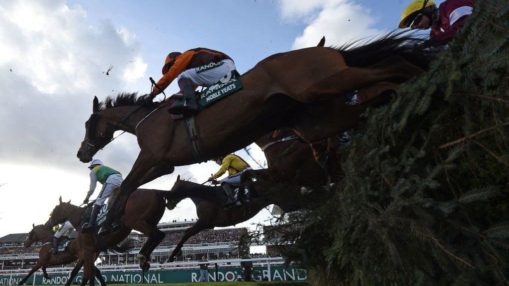 Grand National legend Red Rum runs again as Liverpool hologram BBC News