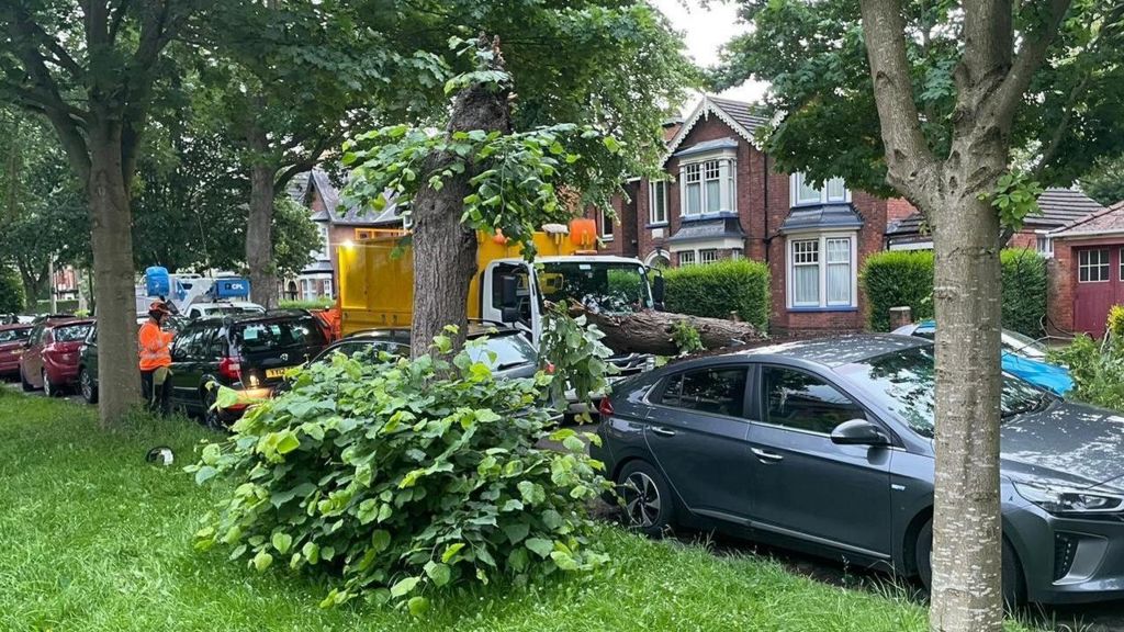 Council workers clear the fallen tree