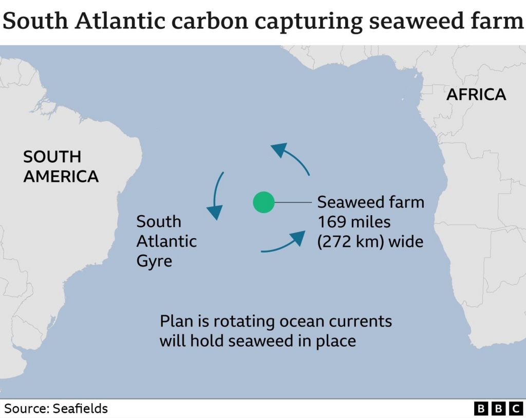 Graphic map placing the intended seaweed farm between the continents of South America and Africa.