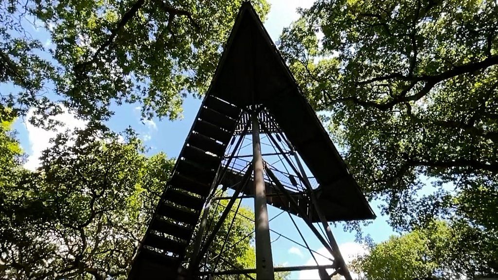 A tree tower offers of glimpse of the Norfolk Broads that most visitors do not get to see.