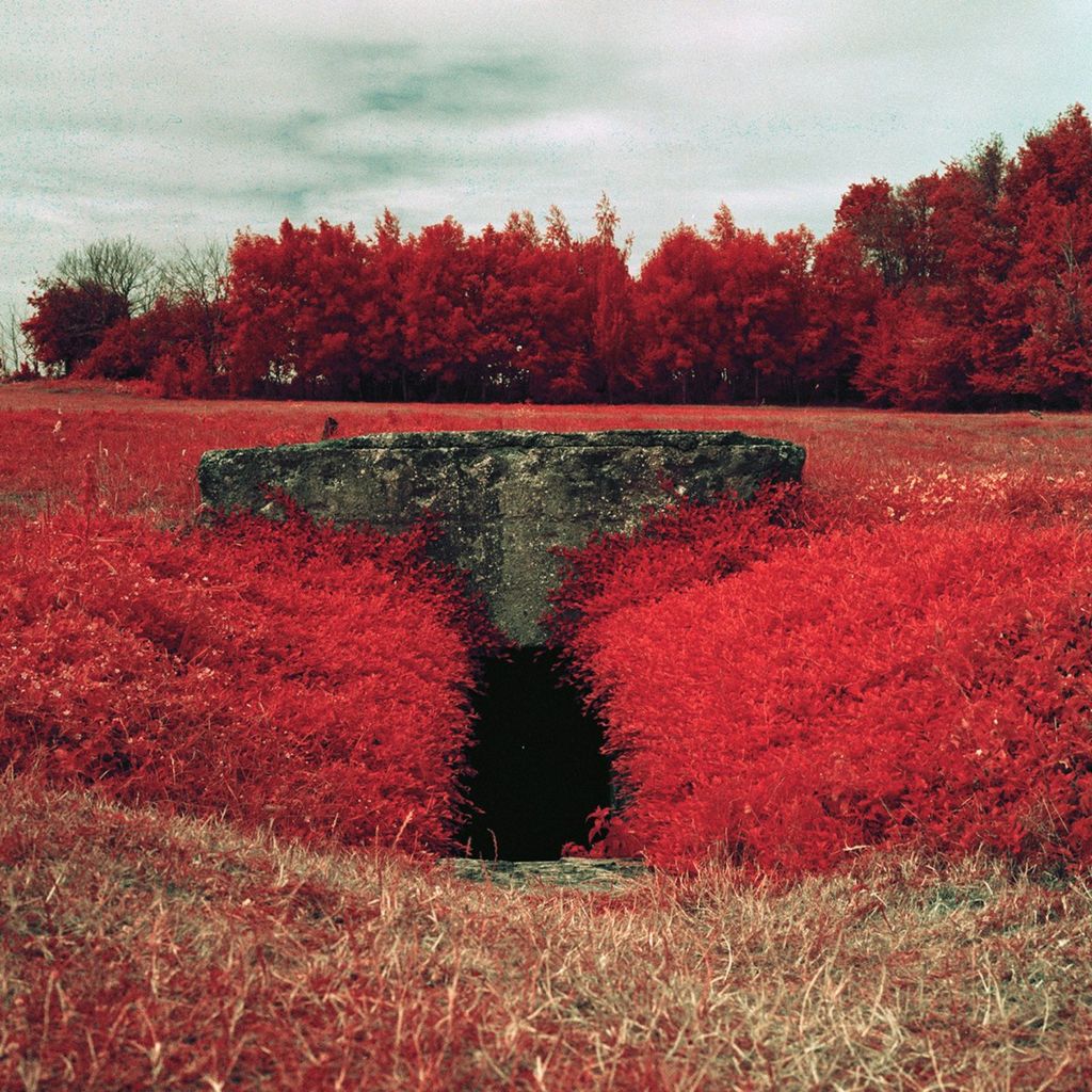 Infrared photograph of a bunker, surrounded by plants