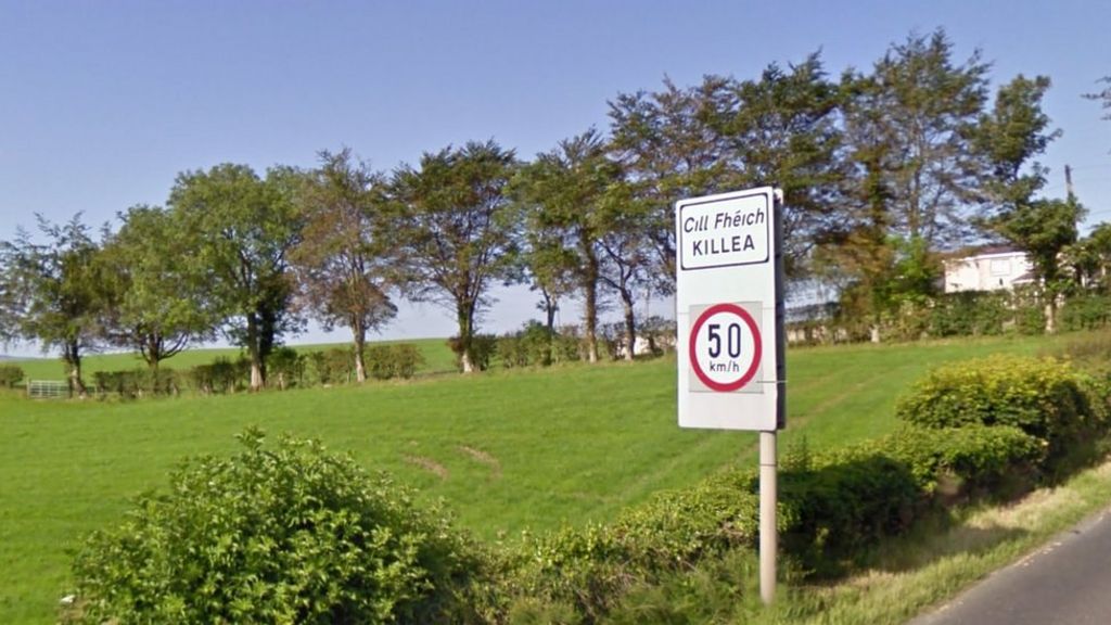 Brexit: Republic of Ireland 'ill-equipped' for border