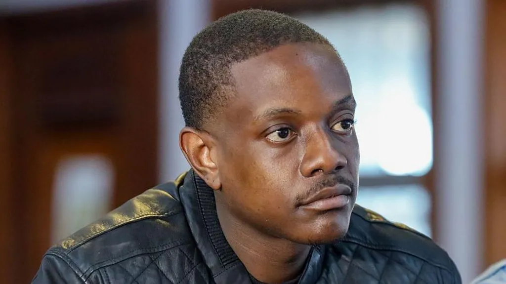El hijo de Mugabe se declara culpable de apuntar con un arma en Sudáfrica.
