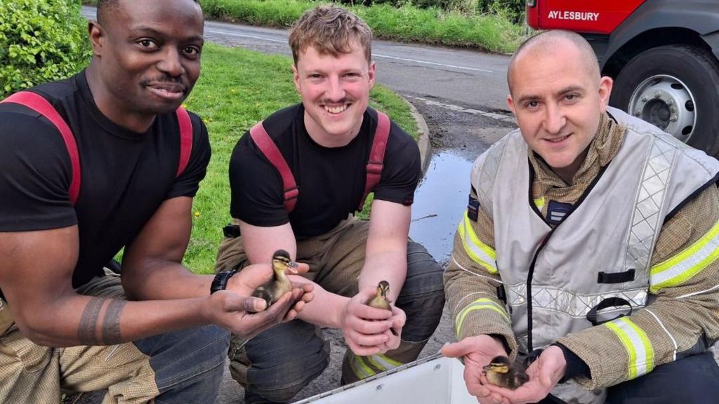 Firefighters holding the rescued ducklings