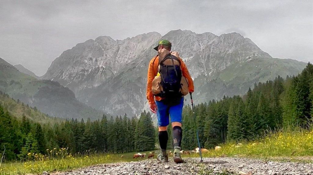 A man wearing an orange jacket, blue shorts and hiking boots with his back to the camera, with a pine forest and a mountain in the background