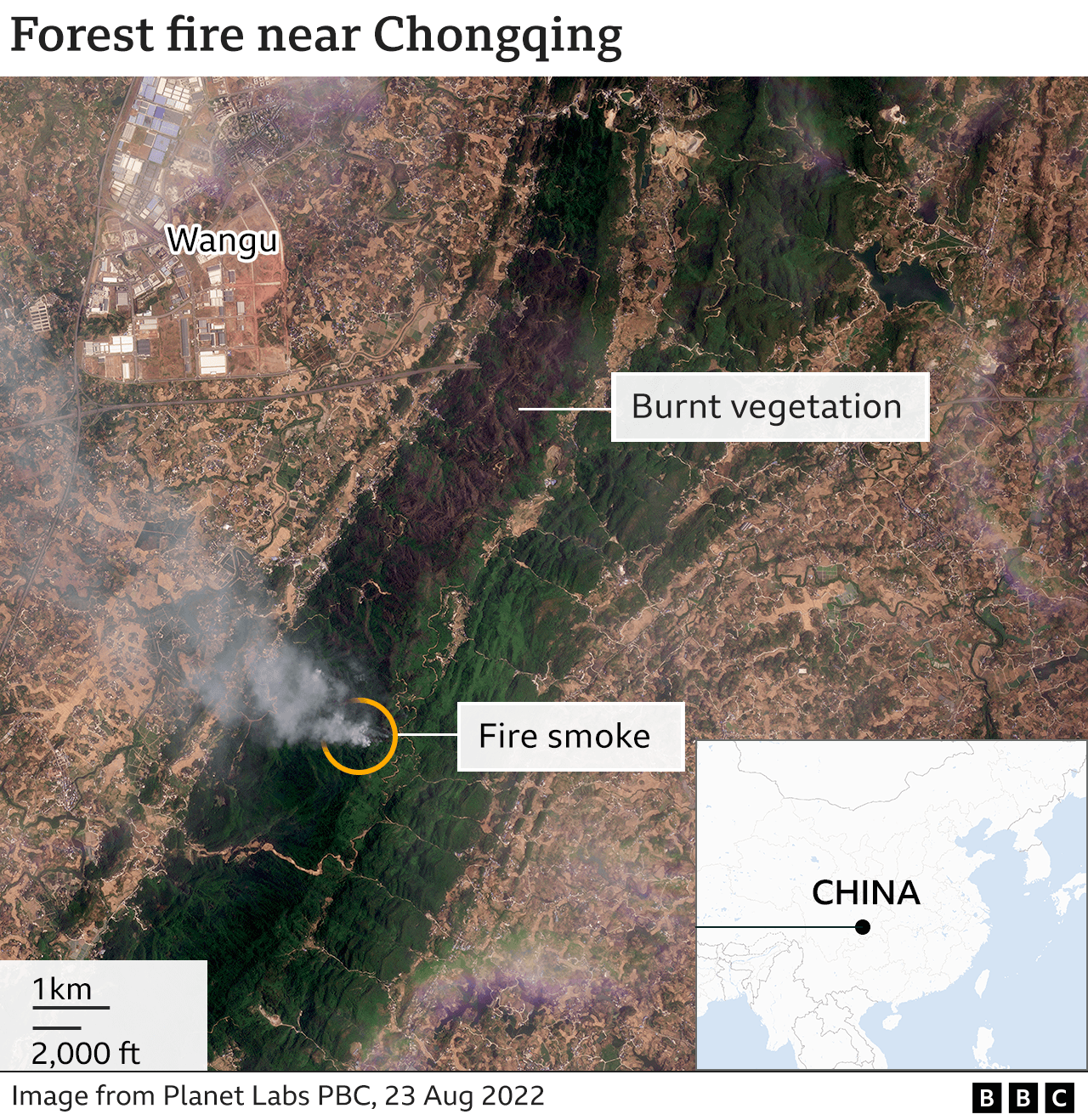 Satellite image shows scars of forest fire near Chongqing