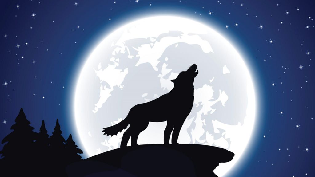 Wolf Moon What Is It And Why Does The Moon Have Different Names Cbbc Newsround