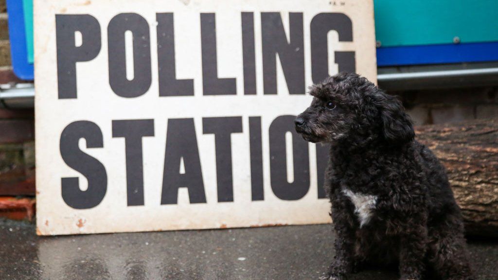 A dog sits beside a polling station sign