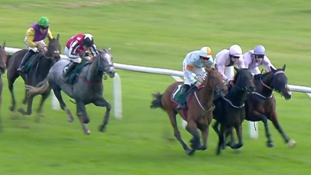 Cheltenham Festival Success of Straw Fan Jack a 'dream come true' for