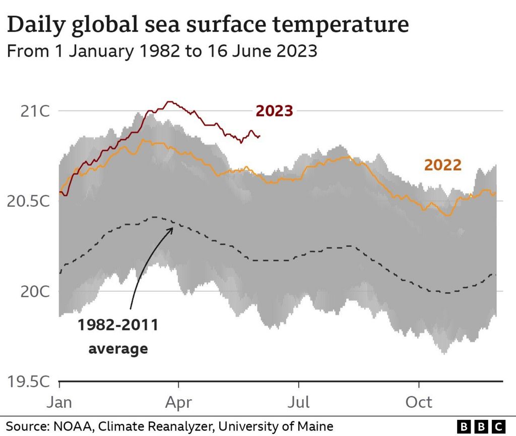 Graph showing global sea surface temperature