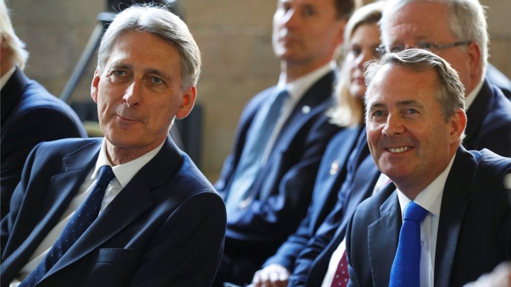 Philip Hammond and Liam Fox in post-Brexit deal call Philip Hammond and Liam Fox in post-Brexit deal call