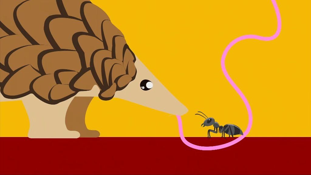 Pangolin eating an ant