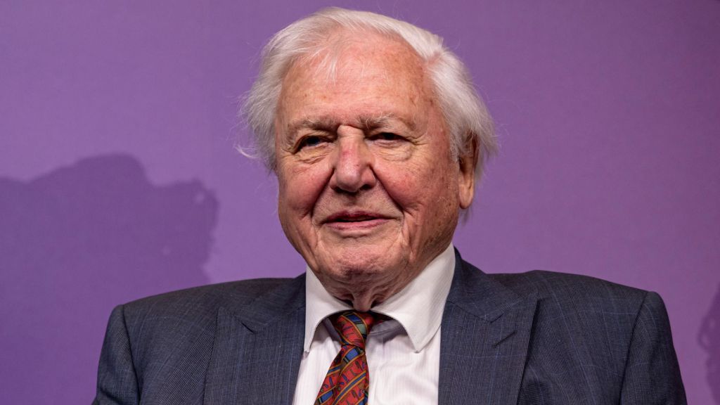 Sir David Attenborough, an elderly man with white hair, is smiling. He is wearing a navy suit with a white shirt and a red tie.