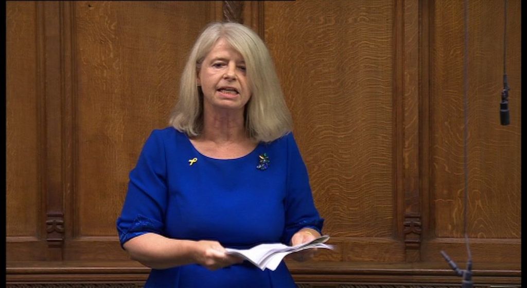 Harriett Baldwin MP in the House of Commons. She is wearing a blue dress and standing to speak.