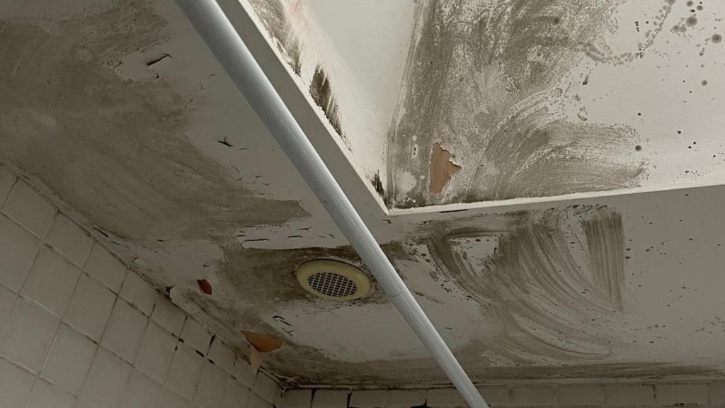 Mould on bathroom ceiling 