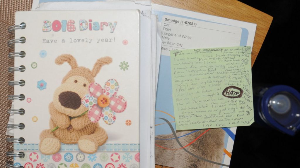 Items presented at Lucy Letby's trial including diaries and scrawled notes