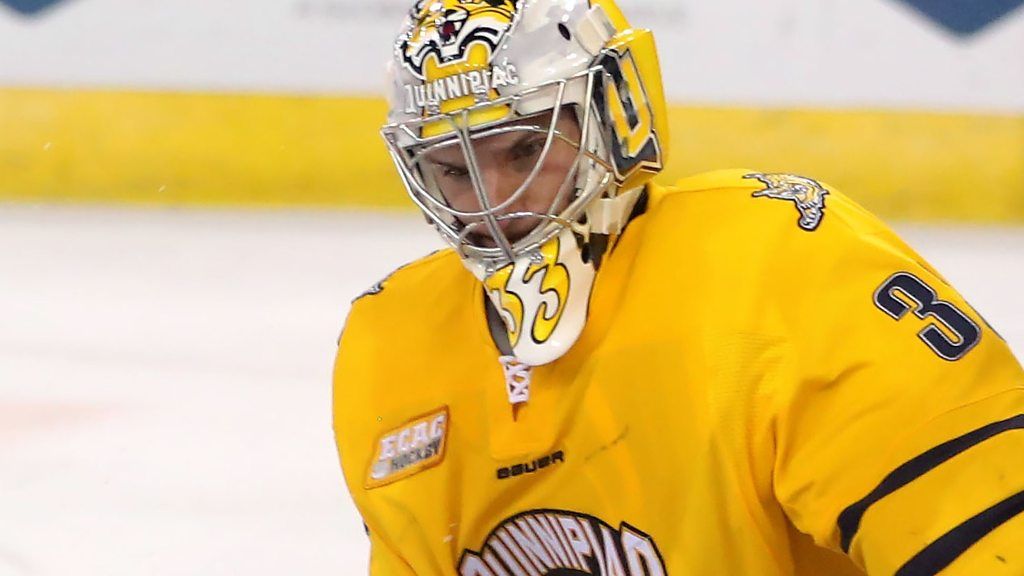 Meet the ice hockey netminder who's allergic to ice BBC Sport