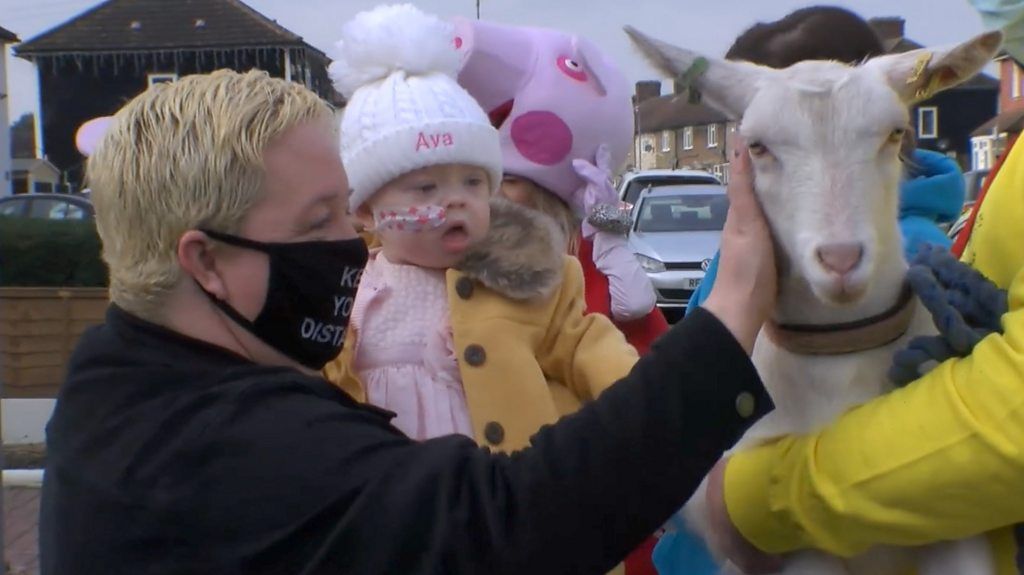 Terminally ill girl gets visit from farmyard friends