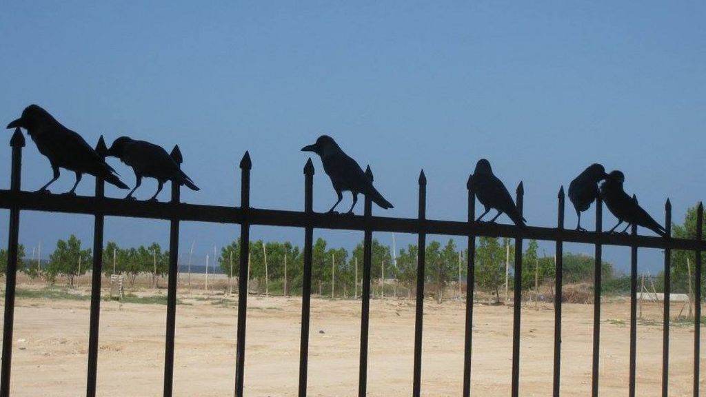 Target Somalia: The new scramble for Africa?